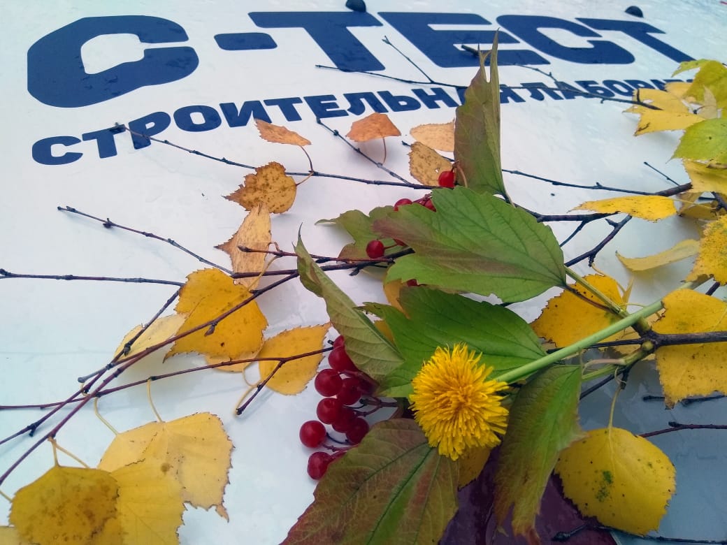 КОЛЛЕКТИВ КОМПАНИИ «С-ТЕСТ» ПОЗДРАВЛЯЕТ ВСЕХ С ДНЕМ ЗНАНИЙ и С ПЕРВЫМ ДНЕМ ОСЕНИ!